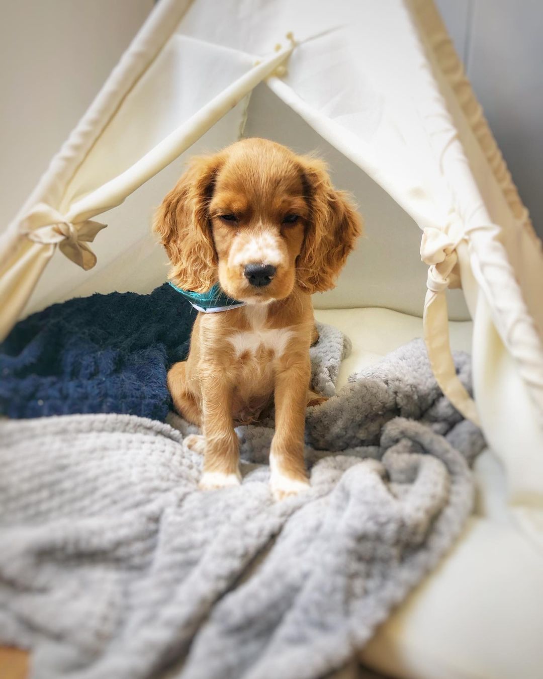 Ollie Mädchen